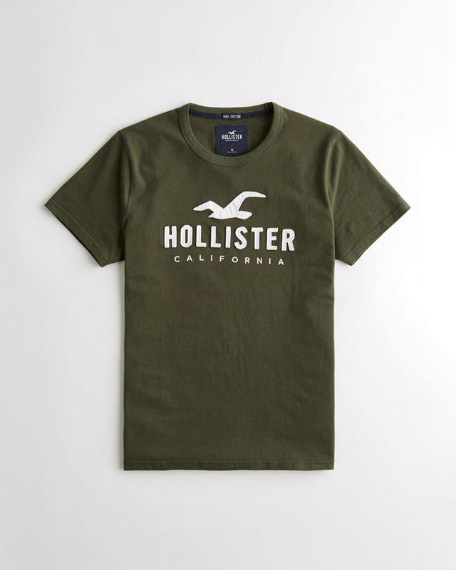 Hollister Men's T-shirts 174